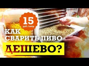 Как сварить недорогое пиво - 15 рублей за литр. Солод своими руками.