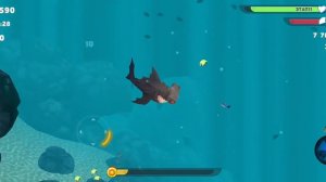 игра Hungry Shark Evolution мрачная акула-молот, акула-молот