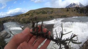 Патагония Национальный парк Торрес дель Пайне (torres del paine)