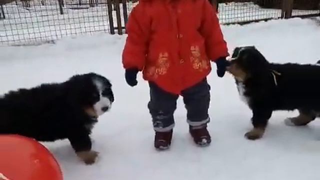 Помет Ч_3 смотреть онлайн