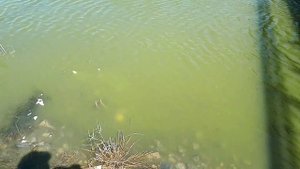 раколовки своими руками из фильтров!!!