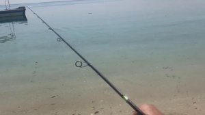 Погода В Эмиратах в феврале. Ветер 0- метров  в секунду.