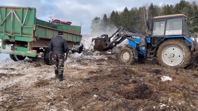 Так начинал каждый тракторист! МТЗ-82 на погрузке, КИРОВЕЦ К-525 и МТЗ 1221 на транспортировке. смотреть онлайн