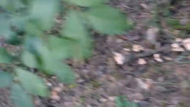 Ведьмин круг однако. смотреть онлайн