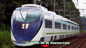 Жд Билеты Москва Санкт Петербург Сапсан