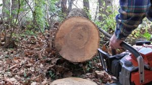 STIHL MS 462 VS HUSQVARNA 572xp