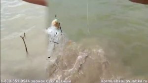 Отзыв о сети кормушке ловушке FindFish.Купить, отзывы, цена.