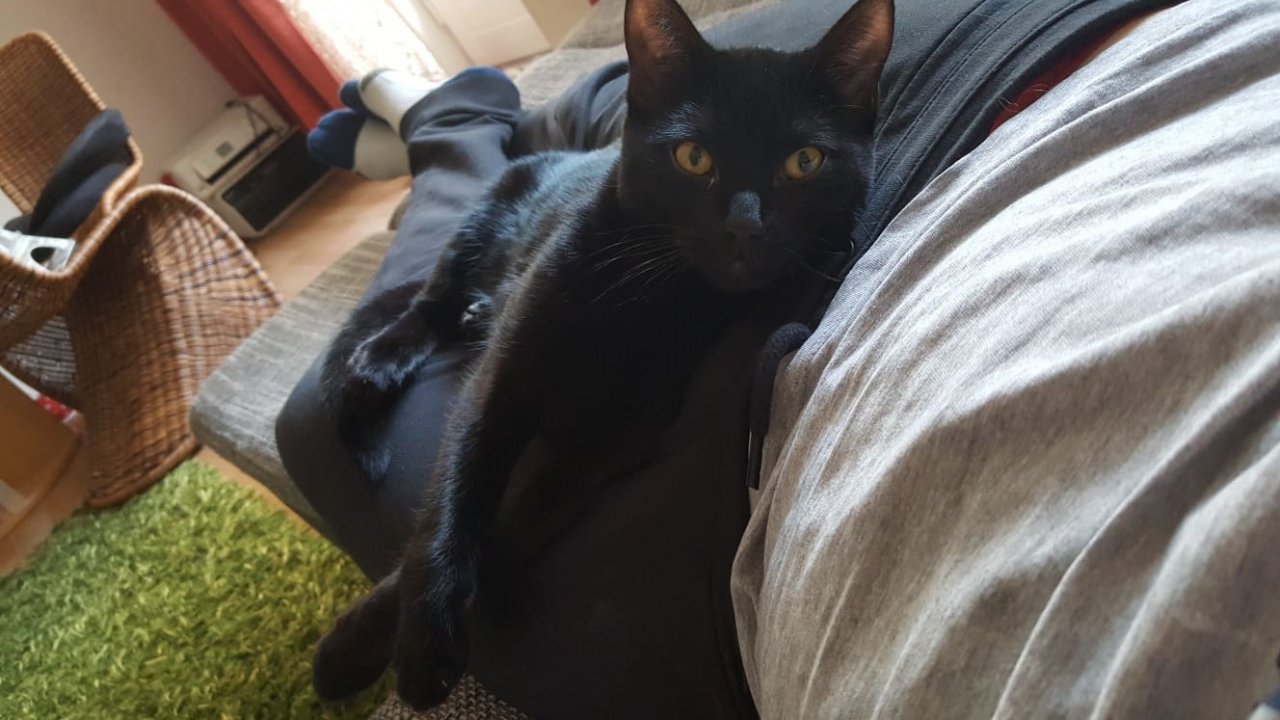 Chillout & Relax Music смотреть онлайн