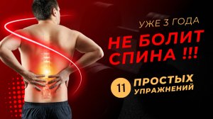 Как избавиться от боли в спине: 11 простых упражнений для здоровья спины