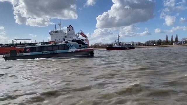 Велопробег из Брюсселя в Антверпен