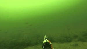 Подводная охота на Карповском водохранилище