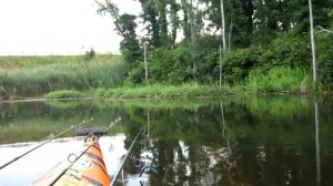 SITUATIONAL AWARENESS IS GOOD. kayak bass fishing, ohio, w2n