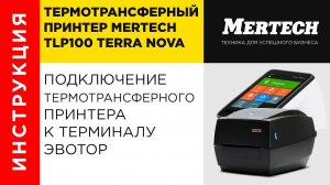 Подключение термотрансферного принтера Mertech TLP100 TERRA NOVA к терминалу Эвотор