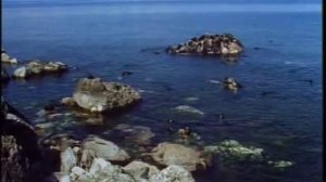 Серия фильмов о природе - Байкал