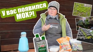 Избавиться от мха - это просто! Лучшие средства от мха на участке и постройках