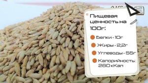 Зерно Рожь обзор