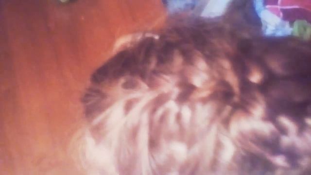 Летняя причёска за 5 минут смотреть онлайн