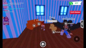 играем в adopt me