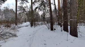 Заброшенный санаторий в Подмосковье