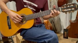Valencia Classical Guitar 1/2 Size VC202
