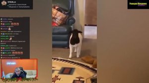 МАНУРИН СМОТРИТ ПОПРОБУЙ НЕ ЗАСМЕЯТЬСЯ / BEST CUBE COMPILATION / ЛУЧШИЕ ПРИКОЛЫ / АКАДЕМИЯ СМЕХА