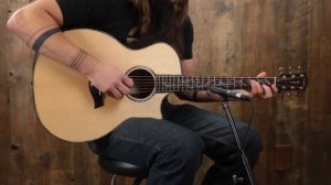 Taylor PS14ce Cocobolo - Upgraded Presentation Series!