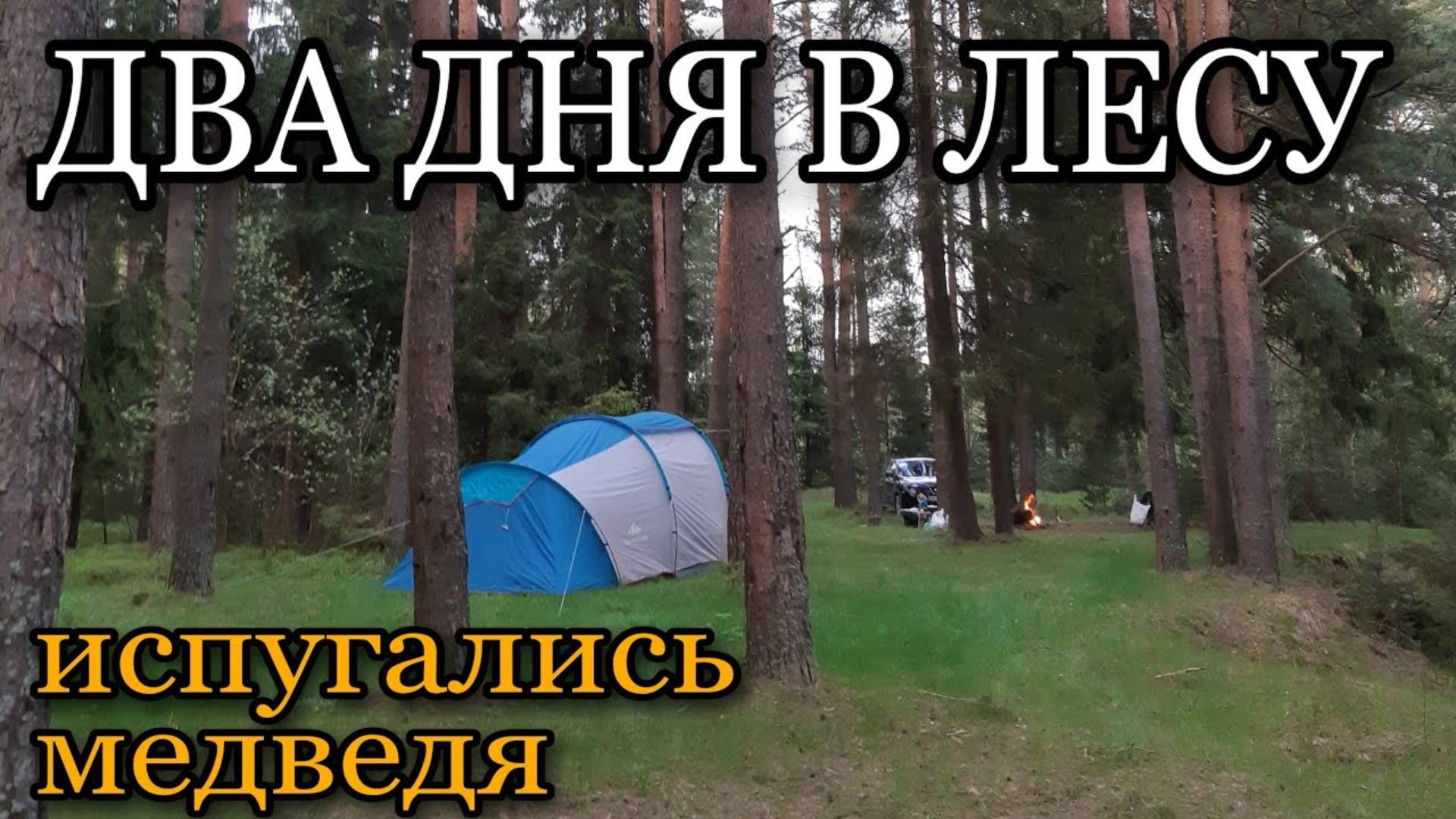 ВЕСЕННИЙ ПОХОД _ ДВА ДНЯ В ЛЕСУ С ПАЛАТКОЙ _ ЧАСТЬ 2 _ ИСПУГАЛИСЬ МЕДВЕДЯ _ РЫБАЛКА.
