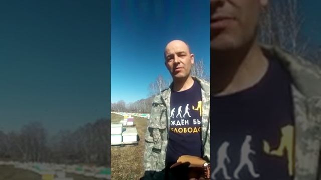 Как не потерять пасеку. Агрохимия и пчеловодство. смотреть онлайн