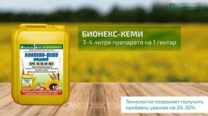 Технология возделывания подсолнечника