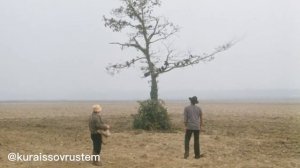Укрощение строптивого