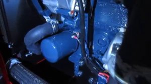 Где находится масляный фильтр на генераторе Europower EPS 183 TDE.