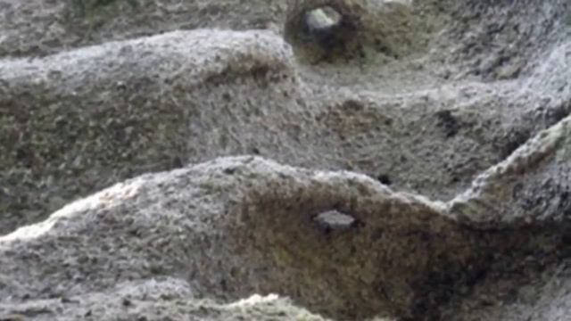 Вещественные доказательства существования древнейших цивилизаций. Часть 1.