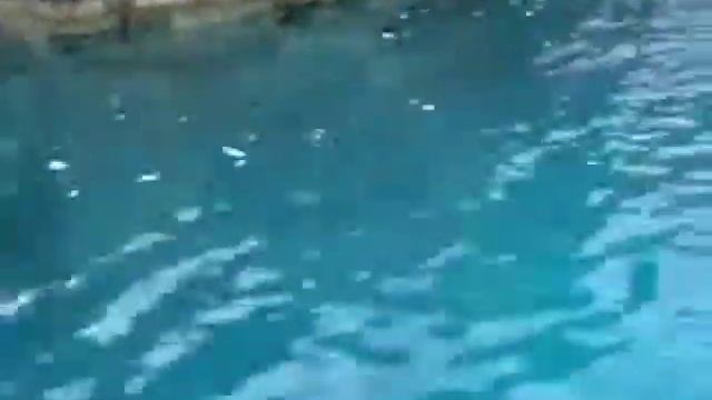 Видео-экскурсия Кекова - www.peterburgirl.ru смотреть онлайн