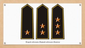 Знаки различия армии Туниса