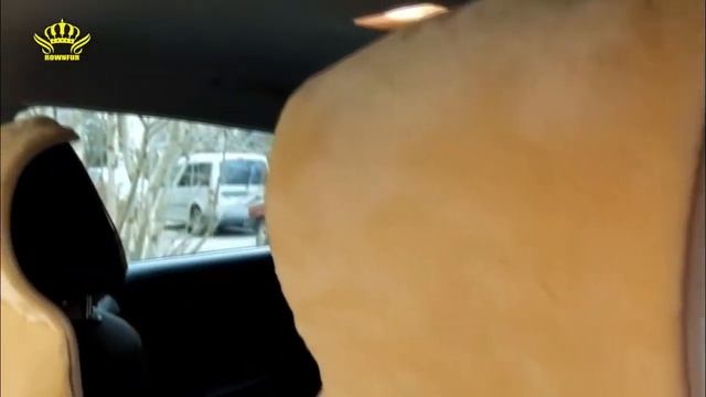 Меховые накидки на сиденья автомобиля обзор!