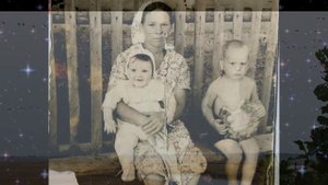 Скажите мне журавли. Душевная песня!Елена Серикова.