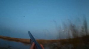 ОХОТА НА УТКУ 2020 С ДВУСТВОЛКОЙ