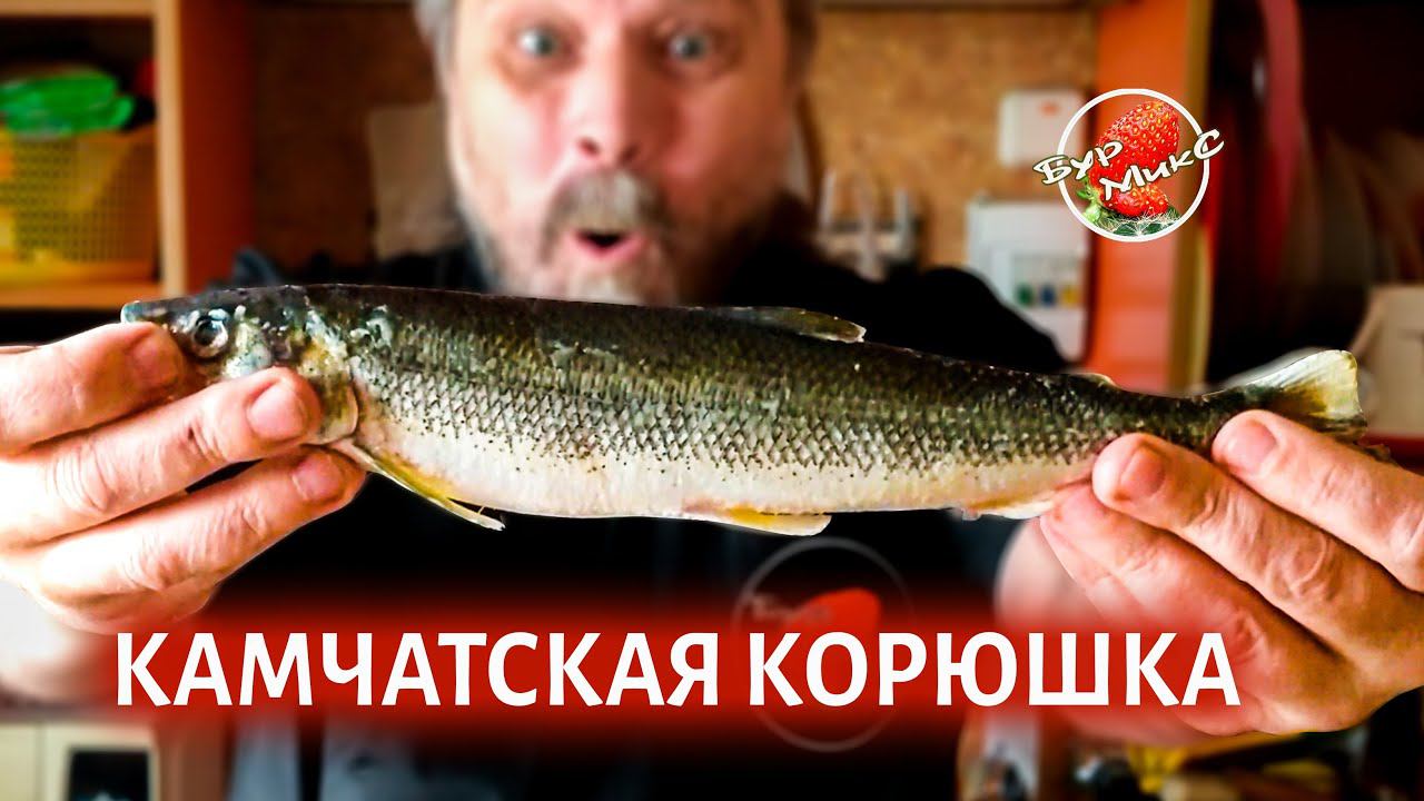 Корюшку готовлю только так / Корюшка рецепт / Fried smelt