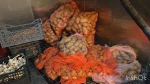 ПОВАР НА СУДНЕ. А как правильно?