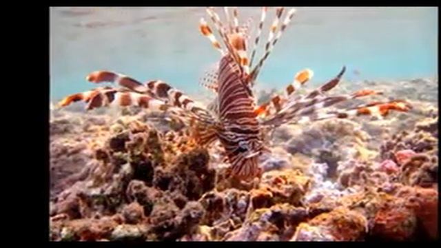 Пообещайте мне любовь x264 смотреть онлайн