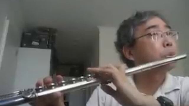 ABBA - I wonder - Flute by Won Shik Paik смотреть онлайн