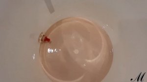 ЭКСПЕРИМЕНТ! На что способны дрожжи С48