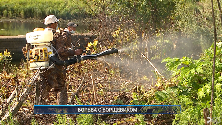 (Рыбинск-40) БОРЬБА С БОРЩЕВИКОМ