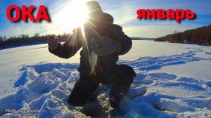 Рыбалка на ОКЕ в январе. Калужский шарик - универсальная приманка.