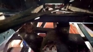 Помор Х 6. Обзор рулевого управления