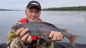 КАБАНЫ! Ловля крупного хариуса.  На какие мушки клюет.  Флагман24