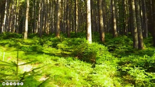 Исцеляющая музыка для сердца и сосудов ? Нежная музыка, успокаивает нервную систему #16 смотреть онлайн