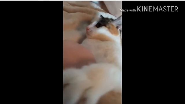 ОНО 3 ЧАСТЬ?!(нет) смотреть онлайн