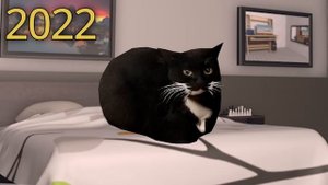 evolution of Maxwell the Cat