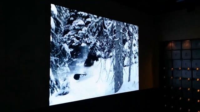 LED экраны для бутиков 2 смотреть онлайн